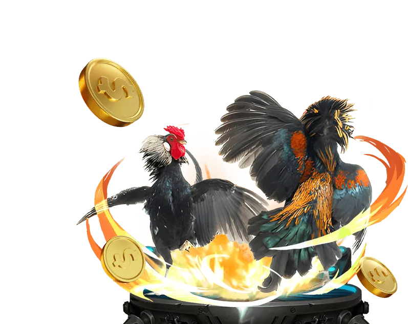 Video Slot với chủ đề phiêu lưu và tính năng thưởng